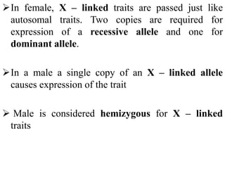In female, X – linked traits are passed just like
autosomal traits. Two copies are required for
expression of a recessive allele and one for
dominant allele.
In a male a single copy of an X – linked allele
causes expression of the trait
 Male is considered hemizygous for X – linked
traits
 