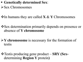  Genetically determined Sex:
Sex Chromosomes
In humans they are called X & Y Chromosomes
Sex determination primarily depends on presence or
absence of Y chromosome
Y chromosome is necessary for the formation of
testis
Testis producing gene product – SRY (Sex-
determining Region Y protein)
 