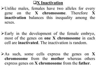 X Inactivation
Unlike males, females have two alleles for every
gene on the X chromosome. Therefore X
inactivation balances this inequality among the
sexes.
Early in the development of the female embryo,
most of the genes on one X chromosome in each
cell are inactivated. The inactivation is random.
As such, some cells express the genes on X
chromosome from the mother whereas others
express genes on X chromosome from the father.
 