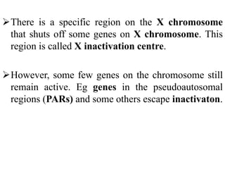 There is a specific region on the X chromosome
that shuts off some genes on X chromosome. This
region is called X inactivation centre.
However, some few genes on the chromosome still
remain active. Eg genes in the pseudoautosomal
regions (PARs) and some others escape inactivaton.
 