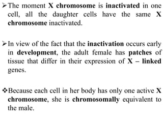 The moment X chromosome is inactivated in one
cell, all the daughter cells have the same X
chromosome inactivated.
In view of the fact that the inactivation occurs early
in development, the adult female has patches of
tissue that differ in their expression of X – linked
genes.
Because each cell in her body has only one active X
chromosome, she is chromosomally equivalent to
the male.
 