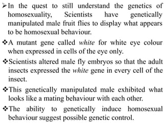 Scientists altered male fly embryos so that the adult
insects expressed the white gene in every cell of the
insect.
This genetically manipulated male exhibited what
looks like a mating behaviour with each other.
The ability to genetically induce homosexual
behaviour suggest possible genetic control.
In the quest to still understand the genetics of
homosexuality, Scientists have genetically
manipulated male fruit flies to display what appears
to be homosexual behaviour.
A mutant gene called white for white eye colour
when expressed in cells of the eye only.
 