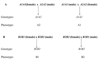 A A1A1(female) x A2A2 (male) A1A1 (male) x A2A2 (female)
Genotypes: A1A2 A1A2
Phenotype: A2 A1
B B1B1 (female) x B2B2 (male) B2B2 (female) x B1B1 (male)
Genotype: B1B2 B1B2
Phenotype: B1 B2
 