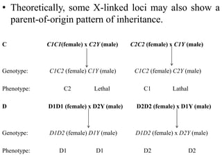 • Theoretically, some X-linked loci may also show a
parent-of-origin pattern of inheritance.
C C1C1(female) x C2Y (male) C2C2 (female) x C1Y (male)
Genotype: C1C2 (female) C1Y (male) C1C2 (female) C2Y (male)
Phenotype: C2 Lethal C1 Lathal
D D1D1 (female) x D2Y (male) D2D2 (female) x D1Y (male)
Genotype: D1D2 (female) D1Y (male) D1D2 (female) x D2Y (male)
Phenotype: D1 D1 D2 D2
 