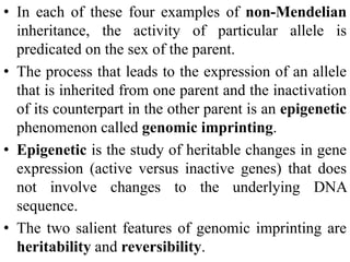 • In each of these four examples of non-Mendelian
inheritance, the activity of particular allele is
predicated on the sex of the parent.
• The process that leads to the expression of an allele
that is inherited from one parent and the inactivation
of its counterpart in the other parent is an epigenetic
phenomenon called genomic imprinting.
• Epigenetic is the study of heritable changes in gene
expression (active versus inactive genes) that does
not involve changes to the underlying DNA
sequence.
• The two salient features of genomic imprinting are
heritability and reversibility.
 