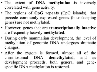 • The extent of DNA methylation is inversely
correlated with gene activity.
• The regions of CpG repeats (CpG islands), that
precede commonly expressed genes (housekeeping
genes) are not methylated.
• However, genes that are transcriptionally inactive
are frequently heavily methylated.
• During early mammalian development, the level of
methylation of genomic DNA undergoes dramatic
changes.
• After the zygote is formed, almost all of the
chromosomal DNA demethylated, and as
development proceeds, both general and gene-
specific DNA methylation is restored.
 