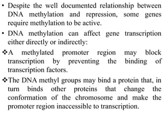 • Despite the well documented relationship between
DNA methylation and repression, some genes
require methylation to be active.
• DNA methylation can affect gene transcription
either directly or indirectly:
A methylated promoter region may block
transcription by preventing the binding of
transcription factors.
The DNA methyl groups may bind a protein that, in
turn binds other proteins that change the
conformation of the chromosome and make the
promoter region inaccessible to transcription.
 
