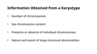 Information Obtained from a Karyotype
• Number of chromosomes
• Sex chromosome content
• Presence or absence of individual chromosomes
• Nature and extent of large structural abnormalities
 