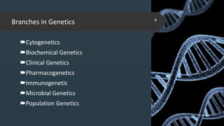 Branches in Genetics
Cytogenetics
Biochemical Genetics
Clinical Genetics
Pharmacogenetics
Immunogenetic
Microbial Genetics
Population Genetics
02-02-2018
4
 
