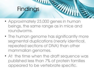 Findings

• Approximately 23,000 genes in human 
  beings, the same range as in mice and 
  roundworms. 
• The human genome has significantly more 
  segmental duplications (nearly identical, 
  repeated sections of DNA) than other 
  mammalian genomes.
• At  the time when the draft sequence was 
  published less than 7% of protein families 
  appeared to be vertebrate specific.
 