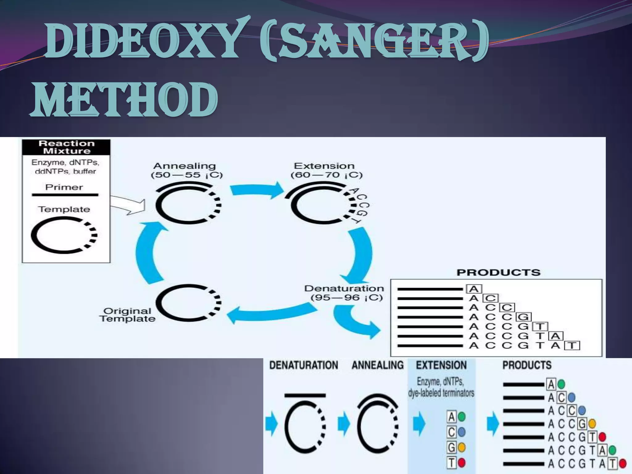 Dideoxy (Sanger)
Method
 