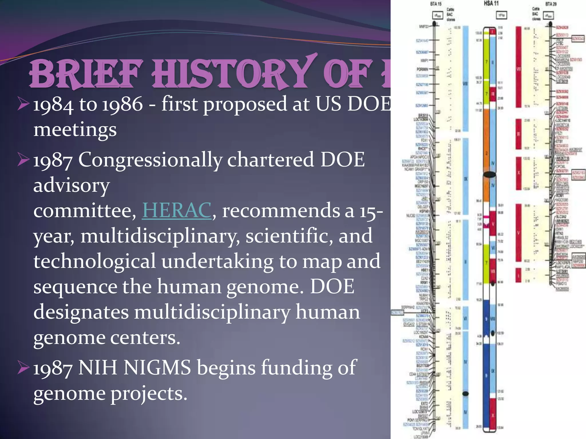 Brief history of HGP
 1984 to 1986 - first proposed at US DOE
  meetings
 1987 Congressionally chartered DOE
  advisory
  committee, HERAC, recommends a 15-
  year, multidisciplinary, scientific, and
  technological undertaking to map and
  sequence the human genome. DOE
  designates multidisciplinary human
  genome centers.
 1987 NIH NIGMS begins funding of
  genome projects.
 