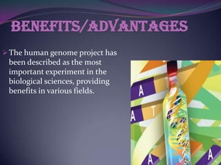 Benefits/advantages
 The human genome project has
 been described as the most
 important experiment in the
 biological sciences, providing
 benefits in various fields.
 