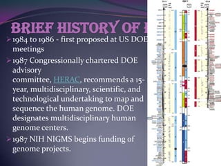 Brief history of HGP
 1984 to 1986 - first proposed at US DOE
  meetings
 1987 Congressionally chartered DOE
  advisory
  committee, HERAC, recommends a 15-
  year, multidisciplinary, scientific, and
  technological undertaking to map and
  sequence the human genome. DOE
  designates multidisciplinary human
  genome centers.
 1987 NIH NIGMS begins funding of
  genome projects.
 