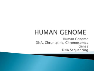 Human Genome
DNA, Chromatine, Chromosomes
                       Genes
              DNA Sequencing
 