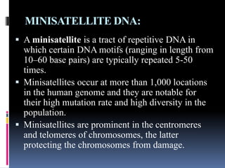 Minisatellite Example Human genome | PPTX