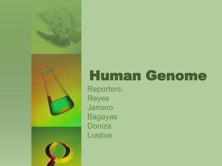 Human Genome
Reporters:
Reyes
Jamero
Bagayas
Doniza
Lustiva
 