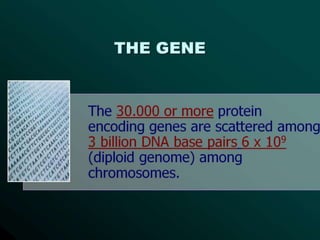 HUMAN GENOME.pptx