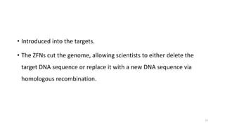• Introduced into the targets.
• The ZFNs cut the genome, allowing scientists to either delete the
target DNA sequence or replace it with a new DNA sequence via
homologous recombination.
12
 