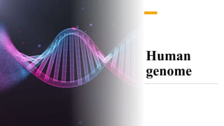 Human
genome
 