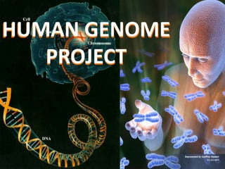 HUMAN GENOME 
PROJECT 
 