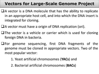 Vectors for Large-Scale Genome Project 
A vector is a DNA molecule that has the ability to replicate 
in an appropriate host cell, and into which the DNA insert is 
integrated for cloning. 
A vector must have a origin of DNA replication (ori). 
The vector is a vehicle or carrier which is used for cloning 
foreign DNA in bacteria. 
For genome sequencing, first DNA fragments of the 
genome must be cloned in appropriate vectors. Two of the 
most popular vector: 
1. Yeast artificial chromosomes (YACs) and 
2. Bacterial artificial chromosomes (BACs) 
 