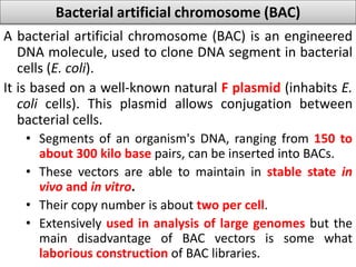 Bacterial artificial chromosome (BAC) 
A bacterial artificial chromosome (BAC) is an engineered 
DNA molecule, used to clone DNA segment in bacterial 
cells (E. coli). 
It is based on a well-known natural F plasmid (inhabits E. 
coli cells). This plasmid allows conjugation between 
bacterial cells. 
• Segments of an organism's DNA, ranging from 150 to 
about 300 kilo base pairs, can be inserted into BACs. 
• These vectors are able to maintain in stable state in 
vivo and in vitro. 
• Their copy number is about two per cell. 
• Extensively used in analysis of large genomes but the 
main disadvantage of BAC vectors is some what 
laborious construction of BAC libraries. 
 