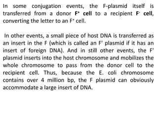 In some conjugation events, the F-plasmid itself is 
transferred from a donor F+ cell to a recipient F- cell, 
converting the letter to an F+ cell. 
In other events, a small piece of host DNA is transferred as 
an insert in the F (which is called an F' plasmid if it has an 
insert of foreign DNA). And in still other events, the F' 
plasmid inserts into the host chromosome and mobilizes the 
whole chromosome to pass from the donor cell to the 
recipient cell. Thus, because the E. coli chromosome 
contains over 4 million bp, the F plasmid can obviously 
accommodate a large insert of DNA. 
 
