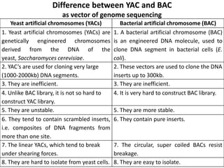 Difference between YAC and BAC 
as vector of genome sequencing 
Yeast artificial chromosomes (YACs) Bacterial artificial chromosome (BAC) 
1. Yeast artificial chromosomes (YACs) are 
genetically engineered chromosomes 
derived from the DNA of the 
yeast, Saccharomyces cerevisiae. 
1. A bacterial artificial chromosome (BAC) 
is an engineered DNA molecule, used to 
clone DNA segment in bacterial cells (E. 
coli). 
2. YAC’s are used for cloning very large 
(1000-2000kb) DNA segments. 
2. These vectors are used to clone the DNA 
inserts up to 300kb. 
3. They are inefficient. 3. They are inefficient. 
4. Unlike BAC library, it is not so hard to 
construct YAC library. 
4. It is very hard to construct BAC library. 
5. They are unstable. 5. They are more stable. 
6. They tend to contain scrambled inserts, 
i.e. composites of DNA fragments from 
more than one site. 
6. They contain pure inserts. 
7. The linear YACs, which tend to break 
under shearing forces. 
7. The circular, super coiled BACs resist 
breakage. 
8. They are hard to isolate from yeast cells. 8. They are easy to isolate. 
 