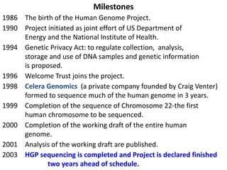 Milestones 
1986 The birth of the Human Genome Project. 
1990 Project initiated as joint effort of US Department of 
Energy and the National Institute of Health. 
1994 Genetic Privacy Act: to regulate collection, analysis, 
storage and use of DNA samples and genetic information 
is proposed. 
1996 Welcome Trust joins the project. 
1998 Celera Genomics (a private company founded by Craig Venter) 
formed to sequence much of the human genome in 3 years. 
1999 Completion of the sequence of Chromosome 22-the first 
human chromosome to be sequenced. 
2000 Completion of the working draft of the entire human 
genome. 
2001 Analysis of the working draft are published. 
2003 HGP sequencing is completed and Project is declared finished 
two years ahead of schedule. 
 