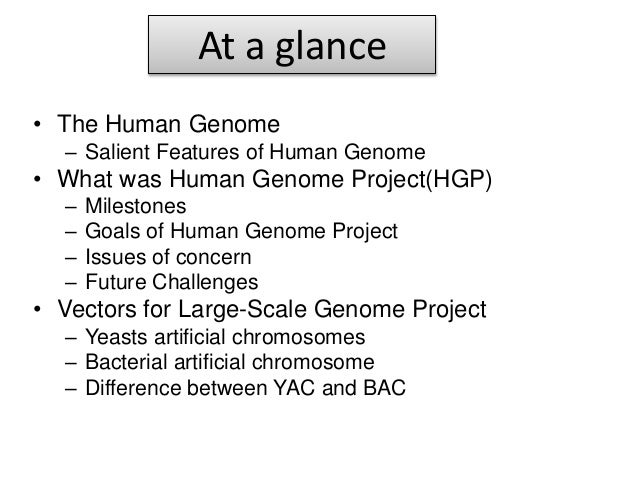 what is the human genome project