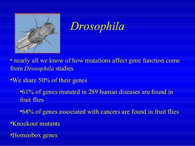 Human Genome Project