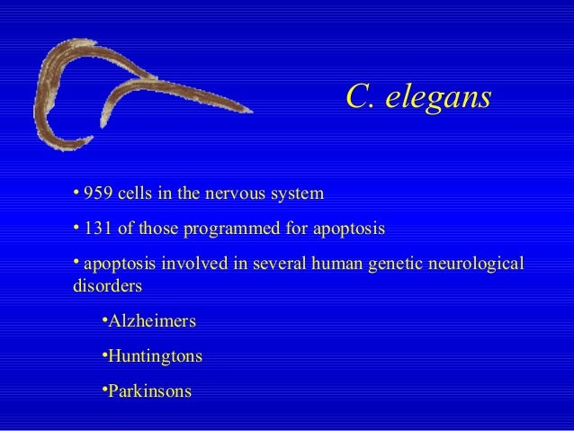 Human Genome Project