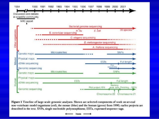 Human Genome Project