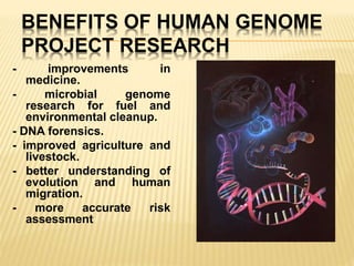 BENEFITS OF HUMAN GENOME
PROJECT RESEARCH
- improvements in
medicine.
- microbial genome
research for fuel and
environmental cleanup.
- DNA forensics.
- improved agriculture and
livestock.
- better understanding of
evolution and human
migration.
- more accurate risk
assessment.
 