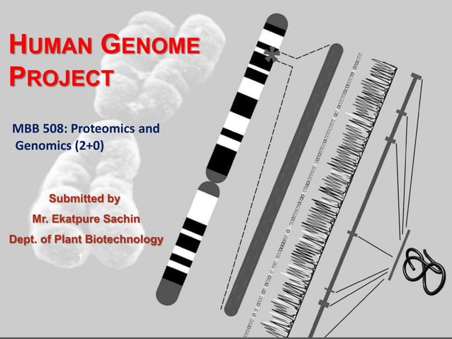 Human genome project | PPTX | Biotech and Biomedical Industry | Industries