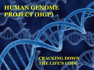 HUMAN GENOME
PROJECT (HGP)
CRACKING DOWN
THE LIFE’S CODE
 