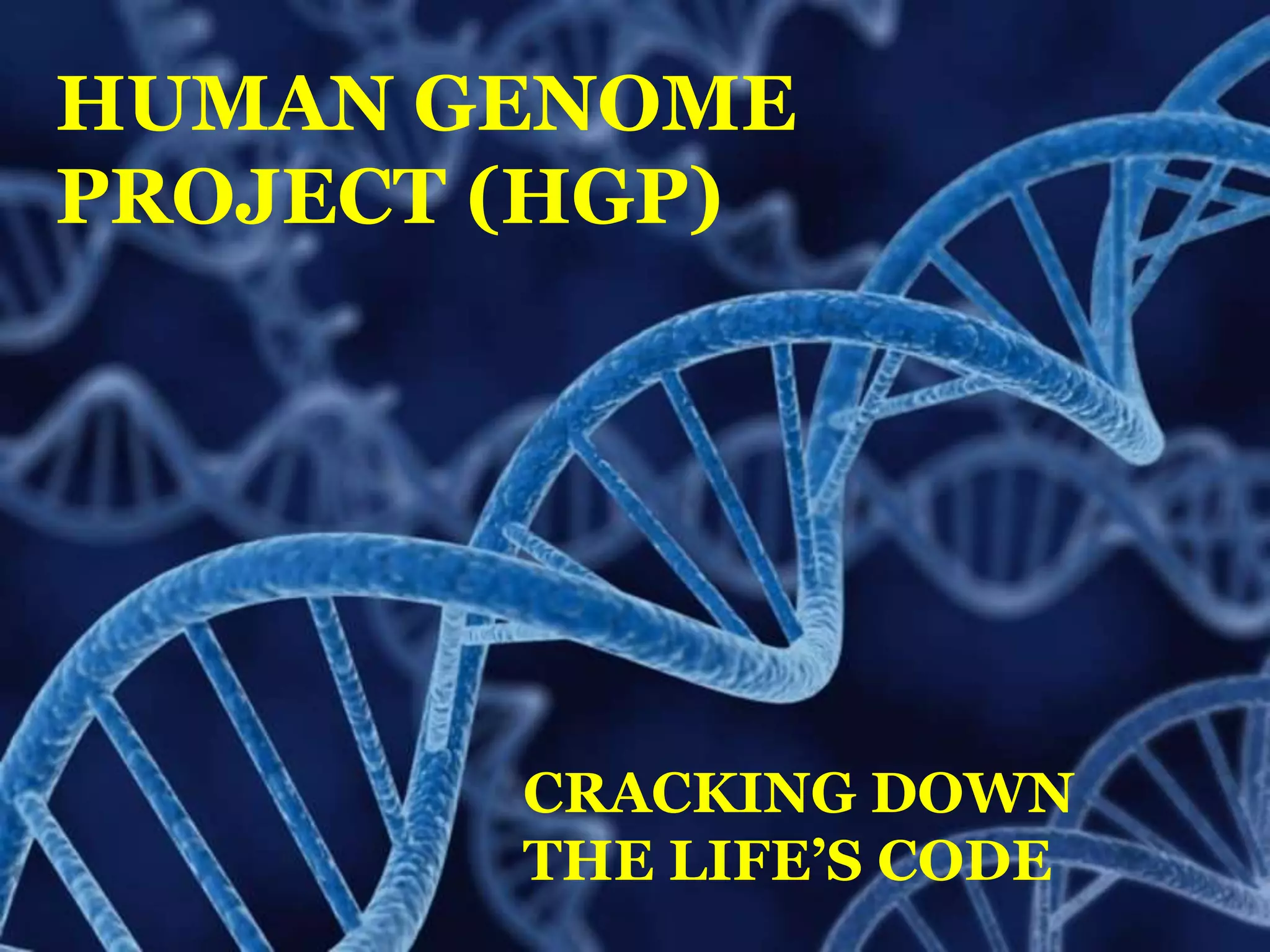 6'3" And 5'0": What Genes Determine Height? - l6ud49n