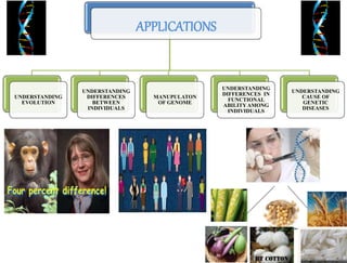 APPLICATIONS
UNDERSTANDING
EVOLUTION
UNDERSTANDING
DIFFERENCES
BETWEEN
INDIVIDUALS
UNDERSTANDING
DIFFERENCES IN
FUNCTIONAL
ABILITYAMONG
INDIVIDUALS
MANUPULATON
OF GENOME
UNDERSTANDING
CAUSE OF
GENETIC
DISEASES
 