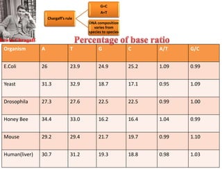 Erwin Chragaff
Organism A T G C A/T G/C
E.Coli 26 23.9 24.9 25.2 1.09 0.99
Yeast 31.3 32.9 18.7 17.1 0.95 1.09
Drosophila 27.3 27.6 22.5 22.5 0.99 1.00
Honey Bee 34.4 33.0 16.2 16.4 1.04 0.99
Mouse 29.2 29.4 21.7 19.7 0.99 1.10
Human(liver) 30.7 31.2 19.3 18.8 0.98 1.03
Chargaff’s rule
G=C
A=T
DNA composition
varies from
species to species
 