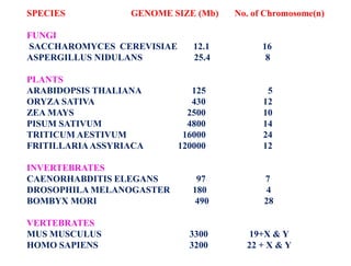 SPECIES GENOME SIZE (Mb) No. of Chromosome(n)
FUNGI
SACCHAROMYCES CEREVISIAE 12.1 16
ASPERGILLUS NIDULANS 25.4 8
PLANTS
ARABIDOPSIS THALIANA 125 5
ORYZA SATIVA 430 12
ZEA MAYS 2500 10
PISUM SATIVUM 4800 14
TRITICUM AESTIVUM 16000 24
FRITILLARIAASSYRIACA 120000 12
INVERTEBRATES
CAENORHABDITIS ELEGANS 97 7
DROSOPHILA MELANOGASTER 180 4
BOMBYX MORI 490 28
VERTEBRATES
MUS MUSCULUS 3300 19+X & Y
HOMO SAPIENS 3200 22 + X & Y
 