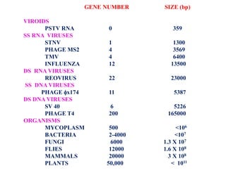 GENE NUMBER SIZE (bp)
VIROIDS
PSTV RNA 0 359
SS RNA VIRUSES
STNV 1 1300
PHAGE MS2 4 3569
TMV 4 6400
INFLUENZA 12 13500
DS RNA VIRUSES
REOVIRUS 22 23000
SS DNA VIRUSES
PHAGE x174 11 5387
DS DNA VIRUSES
SV 40 6 5226
PHAGE T4 200 165000
ORGANISMS
MYCOPLASM 500 <106
BACTERIA 2-4000 <107
FUNGI 6000 1.3 X 107
FLIES 12000 1.6 X 108
MAMMALS 20000 3 X 108
PLANTS 50,000 < 1011
 