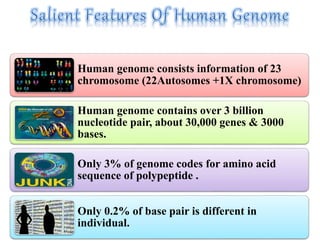Human genome consists information of 23
chromosome (22Autosomes +1X chromosome)
Human genome contains over 3 billion
nucleotide pair, about 30,000 genes & 3000
bases.
Only 3% of genome codes for amino acid
sequence of polypeptide .
Only 0.2% of base pair is different in
individual.
 