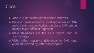 Human genome project by M.Sohail Riaz Hashmi | PPTX