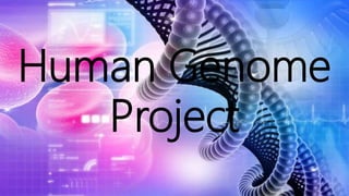 Human Genome
Project
 