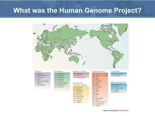 What was the Human Genome Project?
 