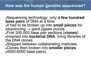●Sequencing technology: only a few hundred
base pairs of DNA at a time.
●It had to be broken up into small pieces for
sequencing → giant jigsaw puzzle.
●First 200,000 base pair sections (clones)
●Inserted into bacterial DNA, living libraries of
the DNA clones.
●Shipped between collaborating institutes.
●Clones then broken into smaller pieces
(4000-6000 base pairs).
How was the human genome sequenced?
 