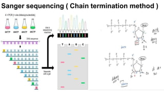 Sanger sequencing ( Chain termination method )
14
 