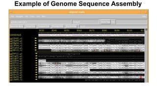 Example of Genome Sequence Assembly
 