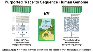 Initial HGP Plan
‘Clone-by-Clone
Shotgun Sequencing’
VS
Editorial Aside: Not really a fair ‘race’ since Celera had access to HGP data (but not vice versa)!!!
Purported ‘Race’ to Sequence Human Genome
Venter/Celera Plan
‘Whole-Genome
Shotgun Sequencing’
 